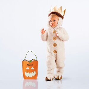 Pottery Barn Kids Where The Wild Things Are Max Halloween Costume -  3T